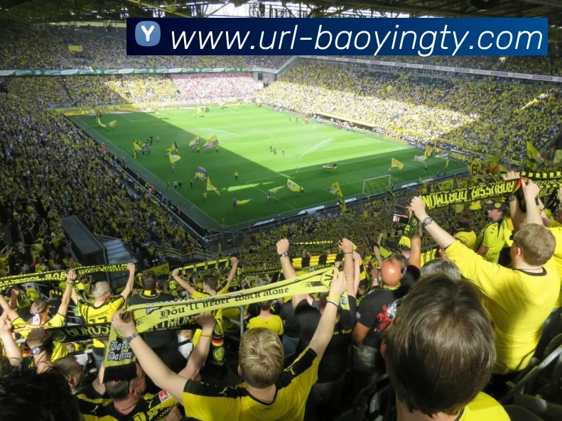 宝盈娱乐APP 高清赛事图